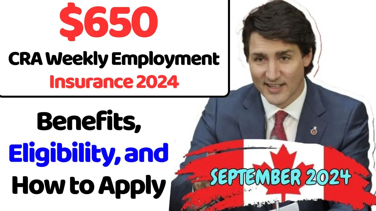 650 CRA Weekly Employment Insurance 2024