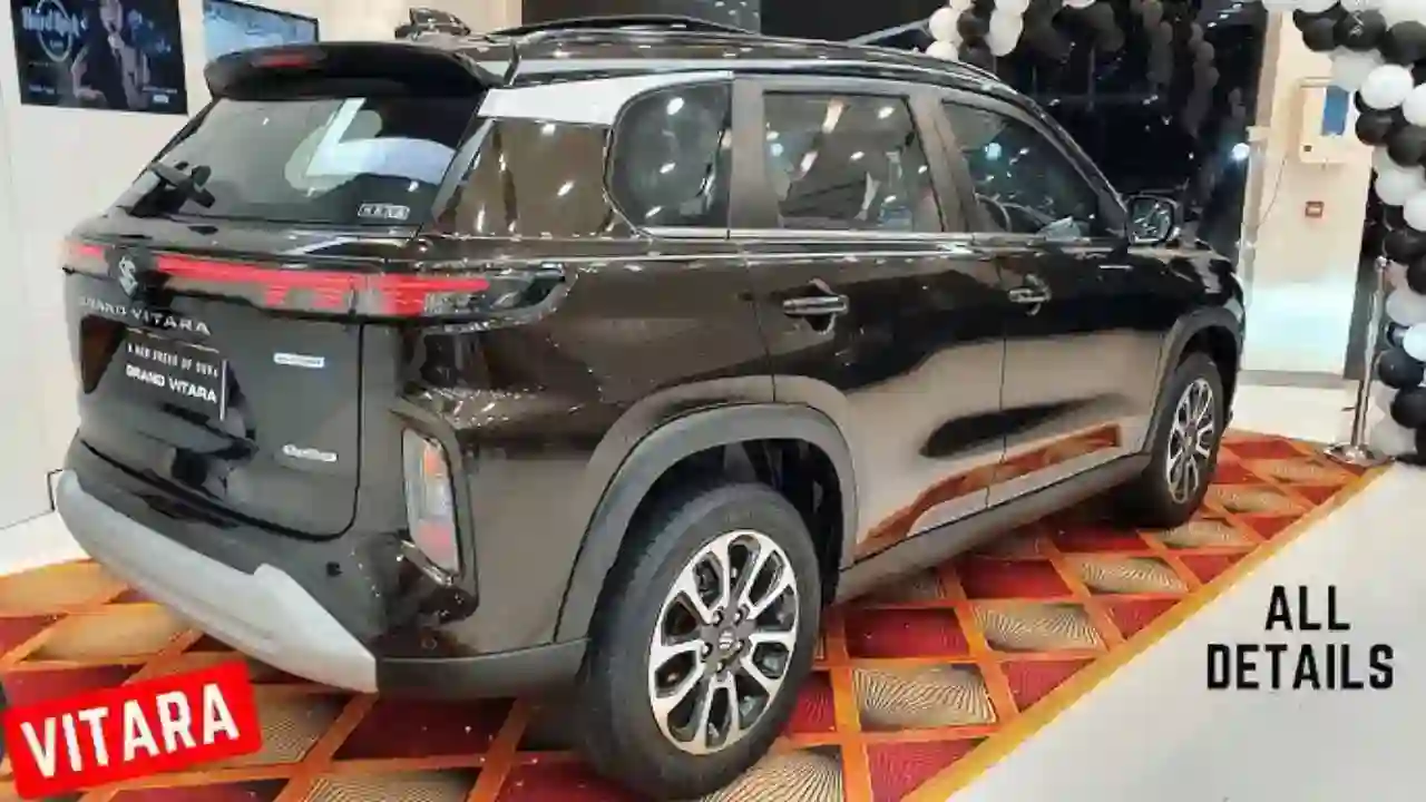 Maruti Suzuki Grand Vitara 1 1