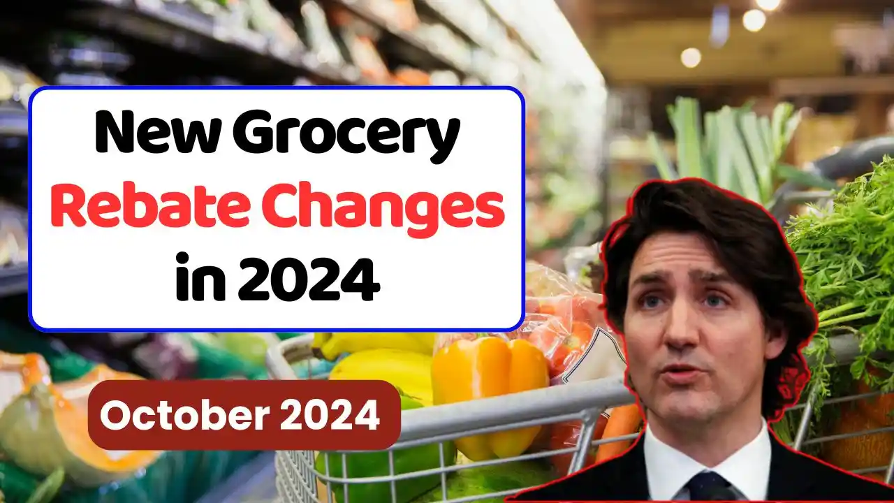 New Grocery Rebate Changes in 2024