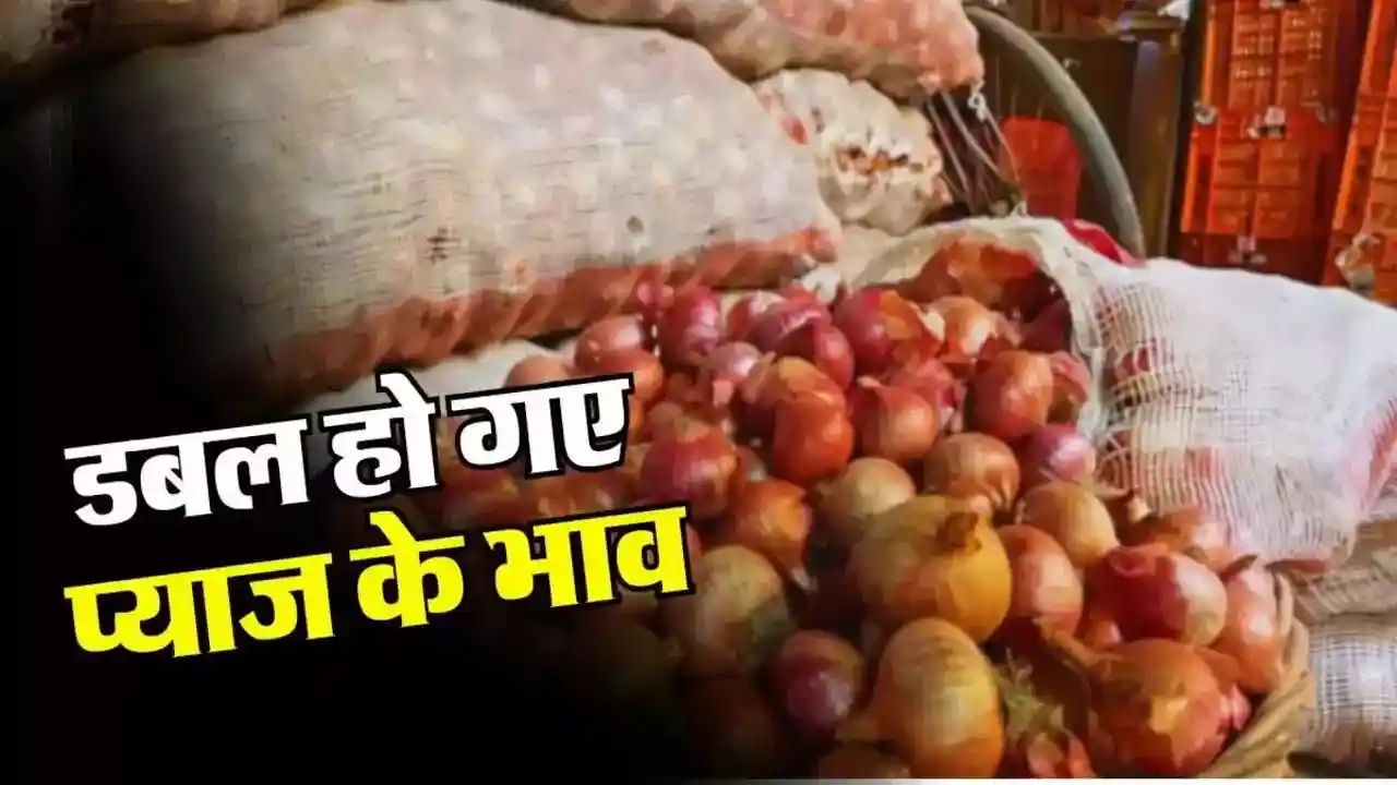 onion Vegetable Price hike