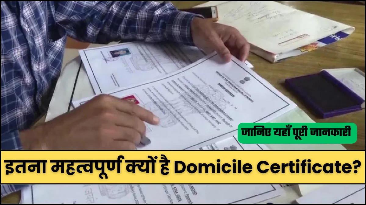 इतना महत्वपूर्ण क्यों है Domicile Certificate